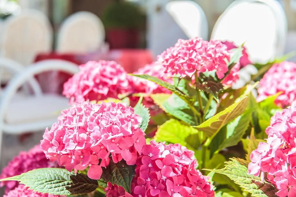 Hotel Garden Bellaria-Igea Marina